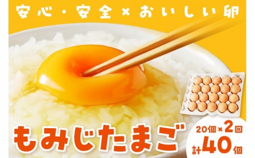 🎈月限定20セット🎈濃厚とろ～り卵🥚