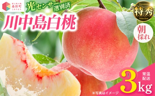 【献上桃の郷】川中島白桃 特秀 約3kg