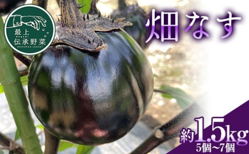 最上伝承野菜「畑なす」約1.5kg