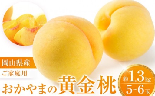 【先行予約】数量限定 おかやまの黄金桃1.3kg(ご家庭用)