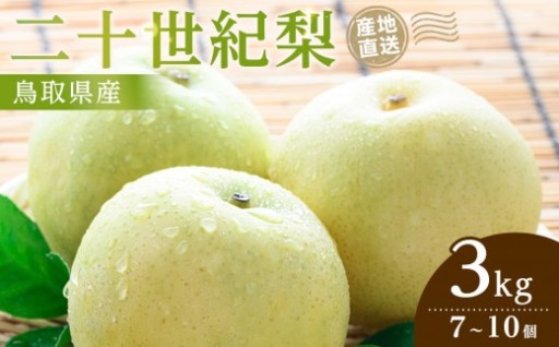 【2026年9月発送】二十世紀梨 3kg