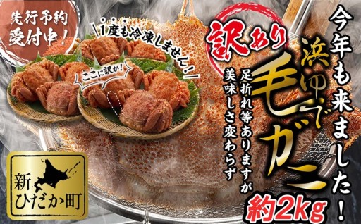 訳あり 北海道産 浜ゆで毛ガニ 約2kg