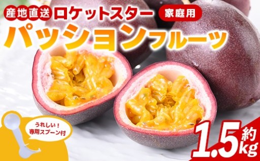 《数量限定》鹿児島県産 パッションフルーツ ロケットスター (約1.5kg)