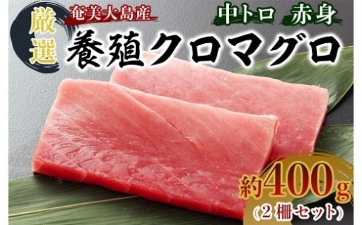 奄美大島産養殖クロマグロ 2柵セット 400g以上 中トロ 赤身 冷凍