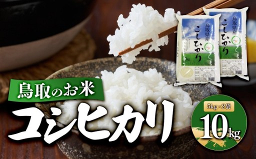 鳥取のお米 コシヒカリ 5kg × 2袋 精米