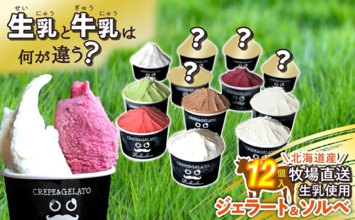 北海道産 生乳ジェラートアイス 12個入り
