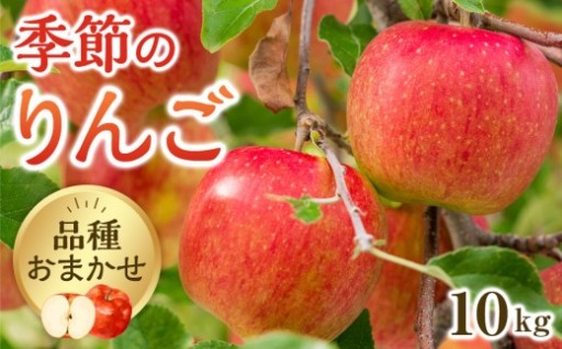【品種はおまかせ】季節のりんご 10kg箱