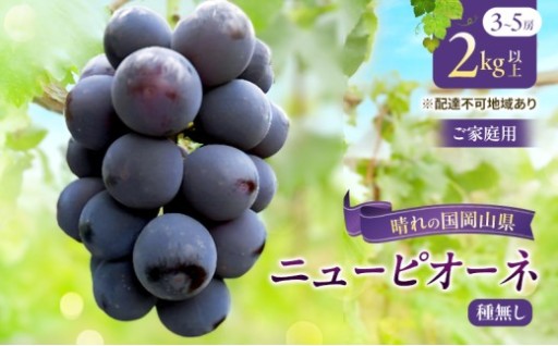 岡山県産 ニューピオーネ （ 種無し ） 2kg以上（3～5房） 