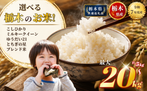 🌾寄附額改定いたしました！品種が選べる、栃木のお米🌾