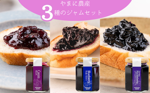 ＼パッケージが変わりました／やまに農産　山里の恵みジャム（カシス・ブルーベリー・ガーデンハックルベリー）