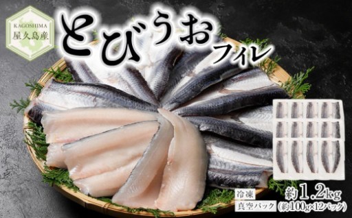 屋久島産 とびうお フィレ 約1200g（約100g×12パック）冷凍 真空パック