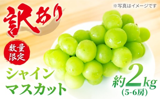 【8/2締切】ご家庭用シャイン2kg限定