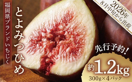福岡県 ブランド いちじく 「 とよみつひめ 」約1.2ｋｇ