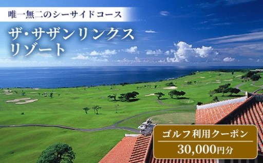 【ザ・サザンリンクスリゾート】 ゴルフ利用クーポン30,000円分