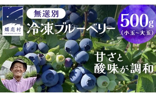【冷凍ブルーベリー】受付開始しました！
