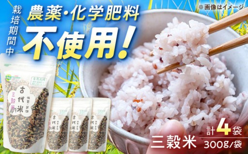 ＼夏バテ気味の体に／身体が喜ぶ古代米