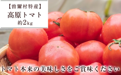 曽爾高原トマト2kgセット 令和8年度産