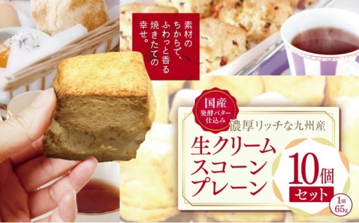 国産発酵バター仕込み濃厚リッチな九州産生クリームスコーン プレーン10個セット