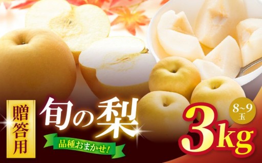 贈答用 梨おまかせ詰め合わせセット 約3kg