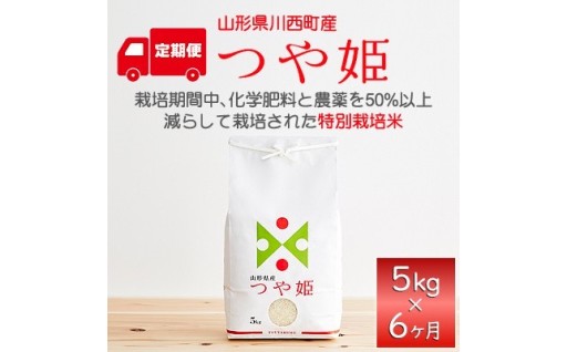 ＜発送月固定定期便＞つや姫　精米　5kg全6回【4090087】