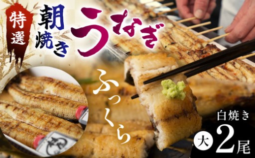 特選ふっくら朝焼きうなぎ　林屋（白焼き大２尾）