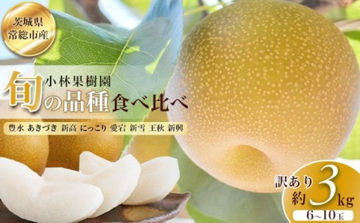 【訳アリ！先行予約】小林果樹園の梨 6～10玉 約3kg