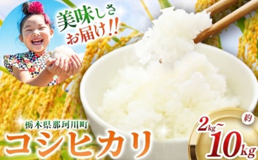 令和7年度産 那珂川町産 コシヒカリ 選べる内容量 約 2kg ~ 約 10kg