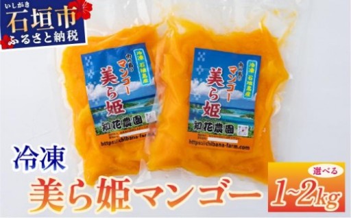 石垣島産『美ら姫マンゴー 冷凍パック』