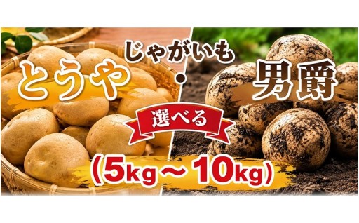 【2026年産】北海道 遠別産 じゃがいも　選べる［男爵orとうやor食べ比べ／５kg～10kg］