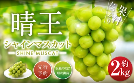 シャインマスカット 晴王 2kg 【2026年9月下旬-10月下旬発送予定】