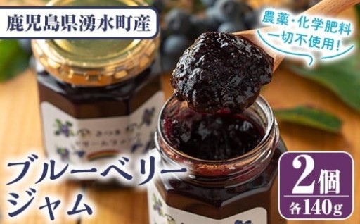  《先行予約受付中！》ブルーベリージャム(計2個・140g×2)【体験型観光農園さつまドリームファーム】