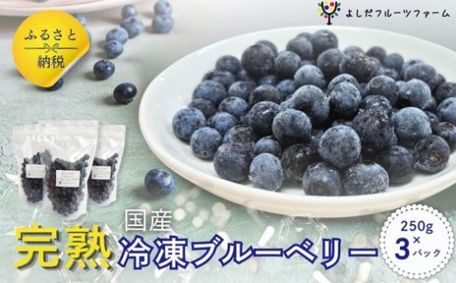 完熟だけを厳選収穫！ひんやり冷凍国産ブルーベリー250g×3袋