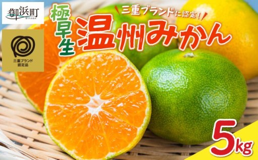 【確かな品質の三重ブランド✨】🍊JAの南紀みかん極早生5キロ