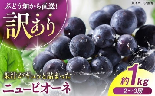 ジューシーで大粒！三次市の訳ありニューピオーネ