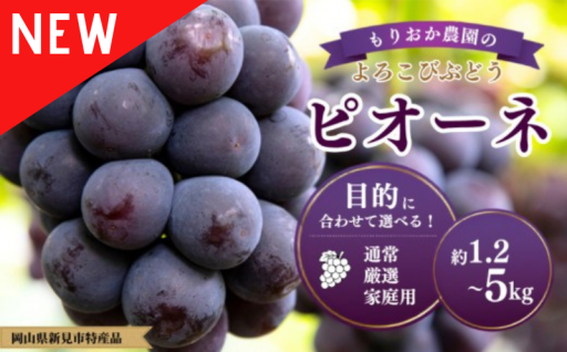 容量で選べるピオーネ！もりおか農園のよろこびぶどう