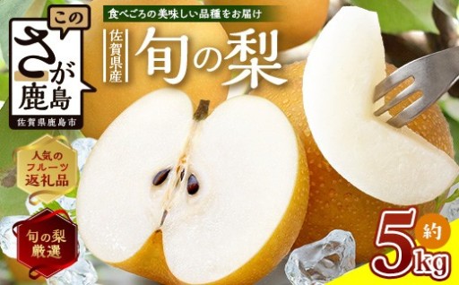 梨 約 5kg 【2026年 予約受付】佐賀県産 豊水 新高 あきづき 秋月  B-875 