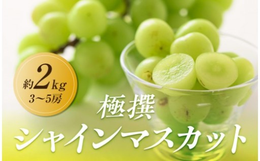 極撰！シャインマスカット　約2kg(3～5房)