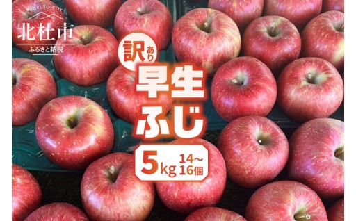 【2026年先行予約】【訳あり】早生ふじ5kg(14個～16個） 