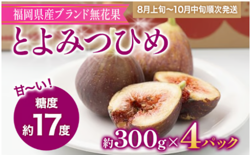 【期間限定🌟】福岡県産ブランド無花果「とよみつひめ」(約300g×4パック)