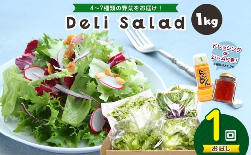サラダミックス 1kg【 お試し 1回 】 デリサラダ Deli Salad ★ ドレッシング or ジャム付き