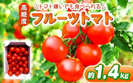 フルーツトマト 約1.4㎏