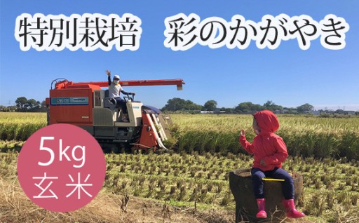 特別栽培　彩のかがやき　玄米５kg