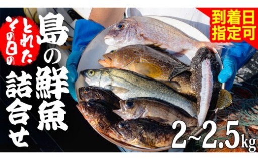 釣れたてに近い鮮魚を、今月も捌いて最高の刺身に！