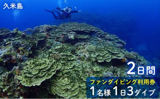 久米島ファンダイビング利用券1名様 1日3ダイブ×2日間 
