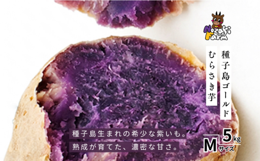 2026年産 【 熟成期間 2か月以上 種子島ゴールド 】M ５kg