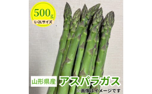 令和8年 山形県川西町産 雪国朝採れアスパラガス(夏)　L～2L サイズ　500g【1764664】