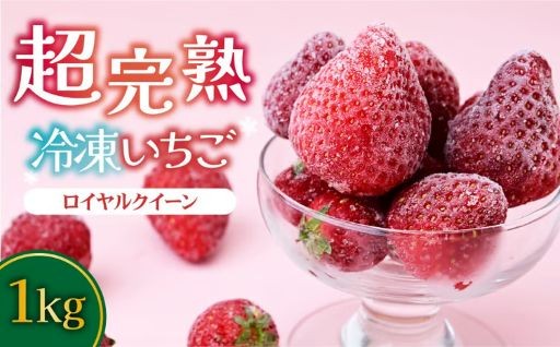 【冷凍いちご】スムージー・いちごミルクなどにも！完熟！ロイヤルクイーン 1kg（500g×2）のご紹介♪