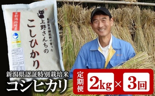 【R8年産新米】コシヒカリ白米2kg×3回定期便