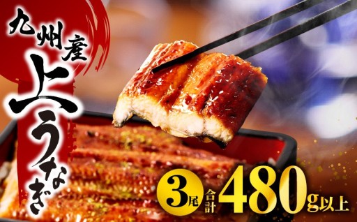 【宮崎県宮崎市】🔥九州産うなぎ蒲焼3尾🔥