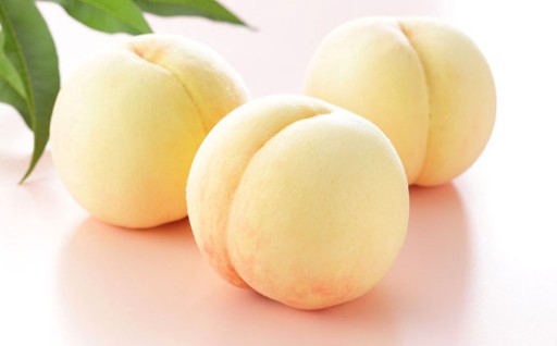 岡山 白桃 エース 3玉×約200g 計約600g 岡山県産 【2026年7月上旬～8月下旬迄発送予定】 